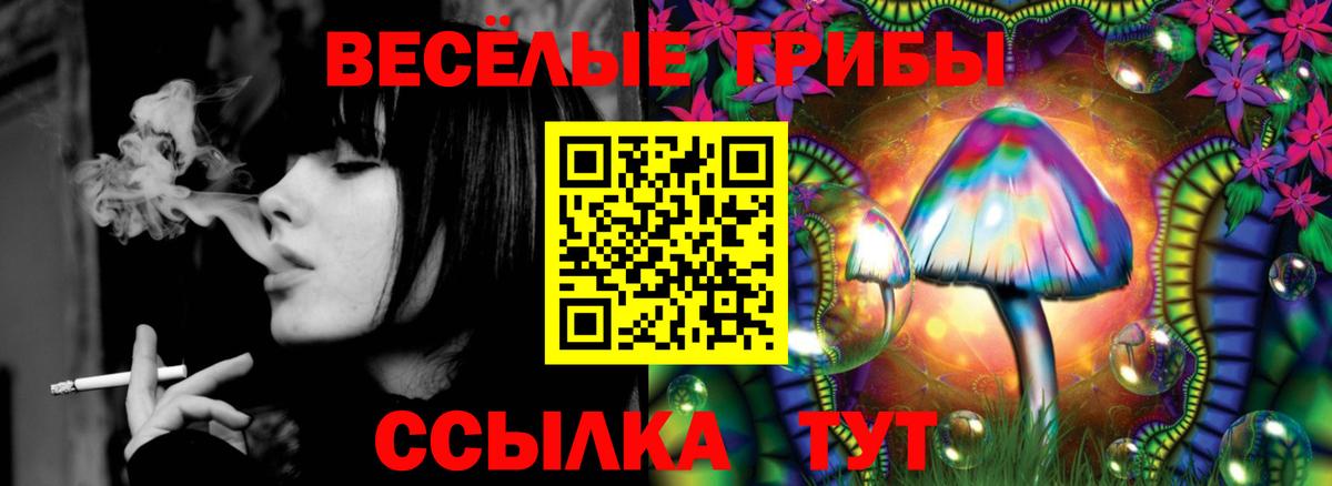 Псилоцибиновые грибы Psilocybe Коломна